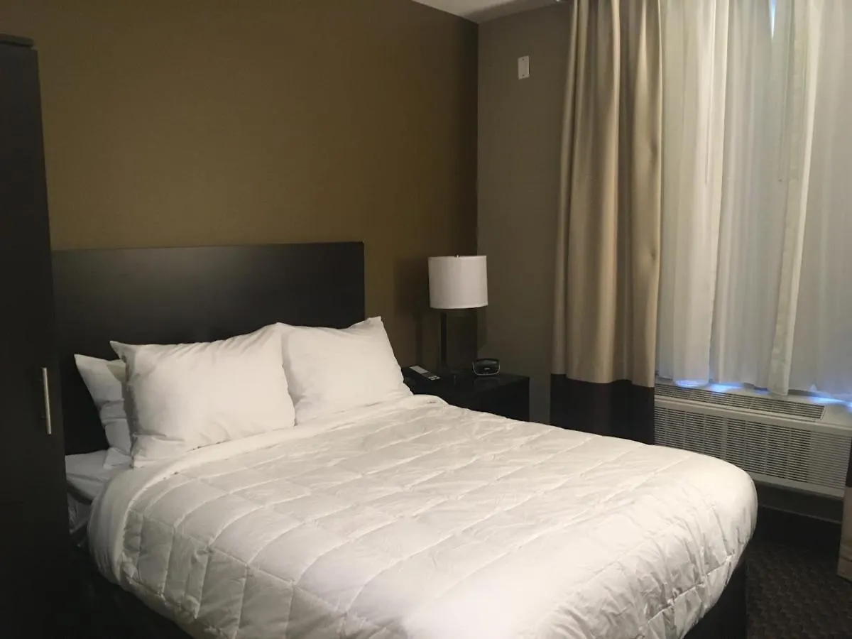 The Williams Hotel نيو يورك
