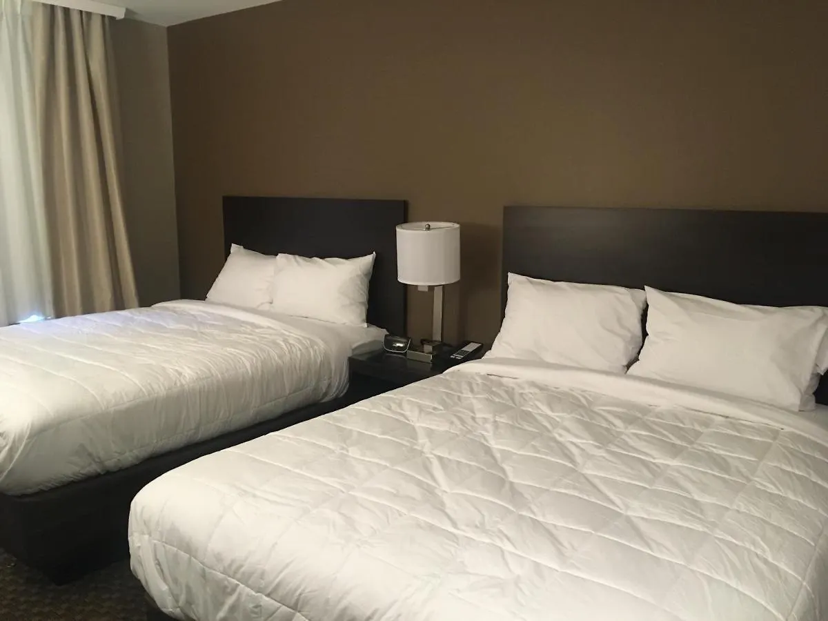 The Williams Hotel نيو يورك 2*,  الولايات المتحدة الأمريكية
